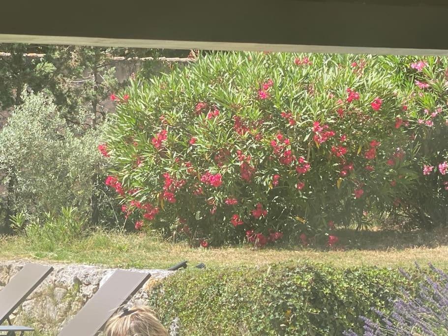 Ar De Vie Villa Chaleureuse En Provence Ventabren Ngoại thất bức ảnh